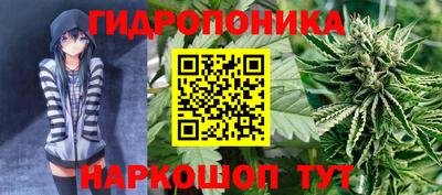 спайс Гагарин