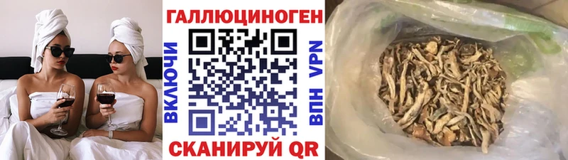 Галлюциногенные грибы Psilocybine cubensis  где найти   Мурманск 
