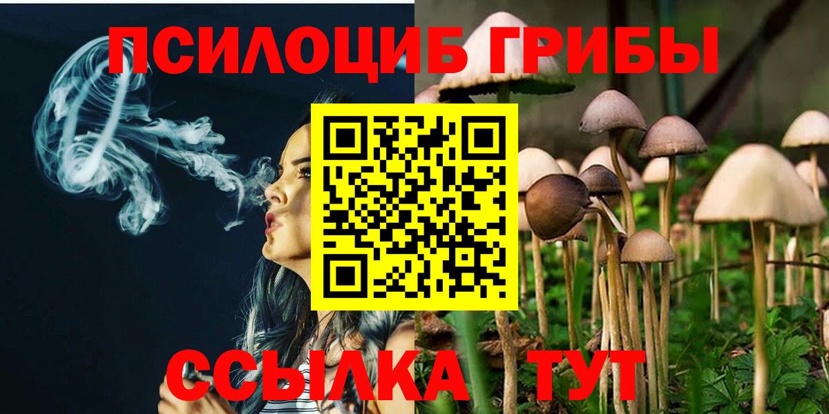 Мурманск  Галлюциногенные грибы GOLDEN TEACHER  Вход с VPN 
